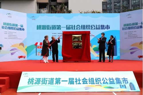 桃源街道首屆社會組織公益集市 文化藝術(shù)交流點亮社區(qū)活力